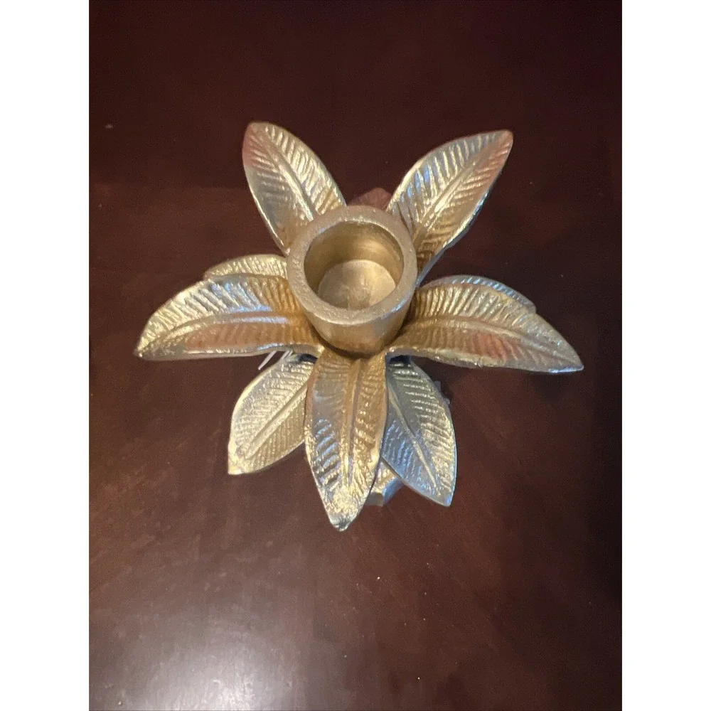 8 Oak Lane oak lane